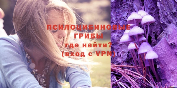 эйфоретик Алексеевка