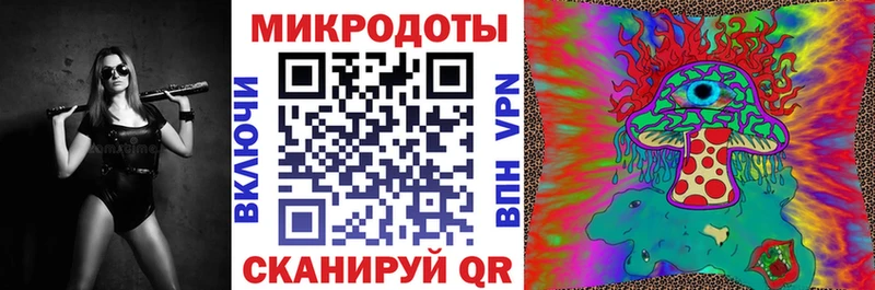 купить   Когалым  Галлюциногенные грибы Psilocybe 